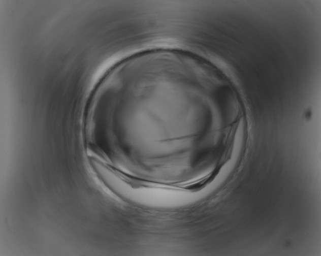 X0000116591334200912312028