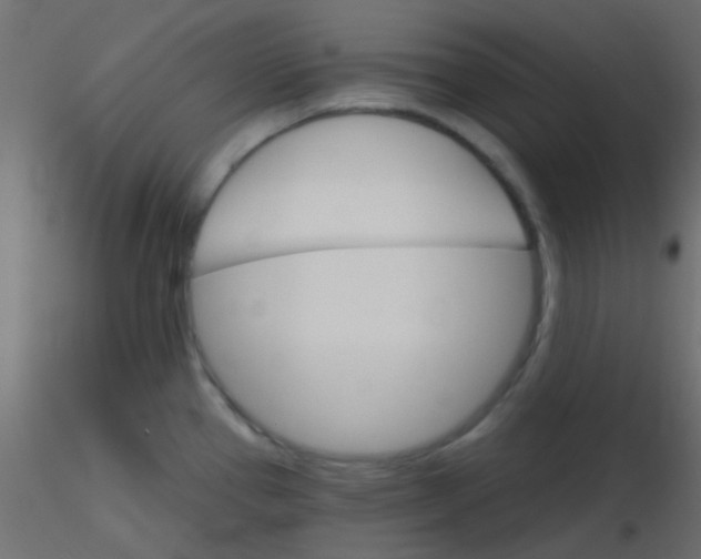 X0000116591337200912312028