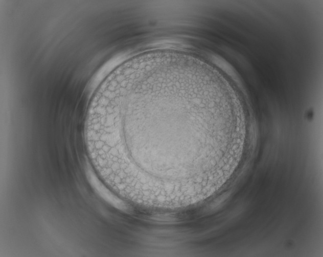 X0000116591338200912312028