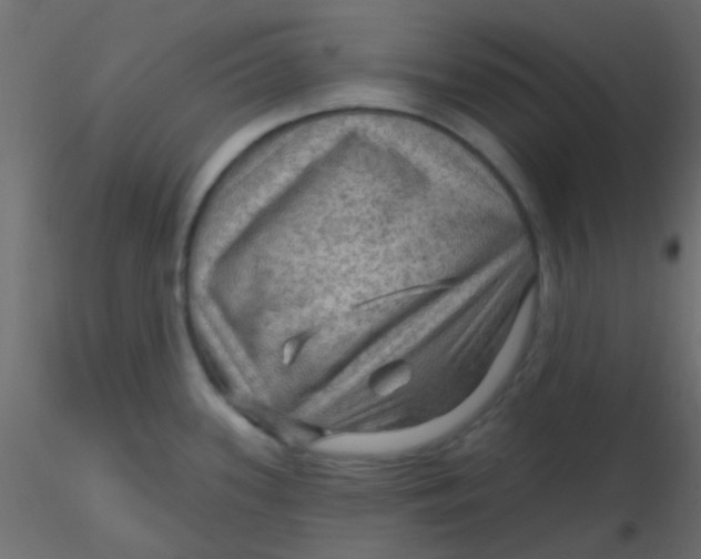 X0000116591339200912312028