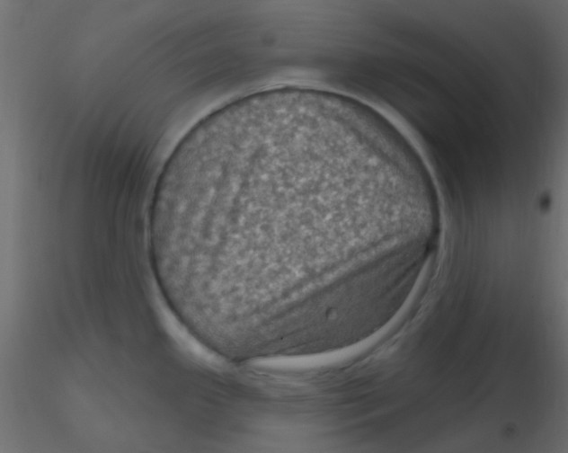 X0000116591341200912312028