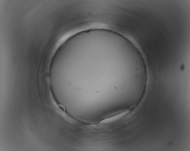 X0000116591342200912312028