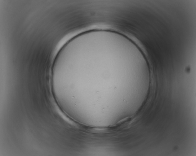 X0000116591343200912312028