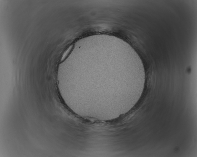 X0000116591345200912312027