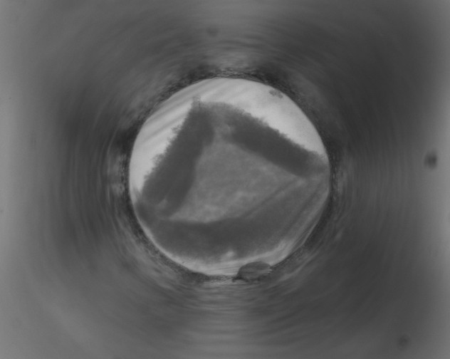 X0000116591346200912312027