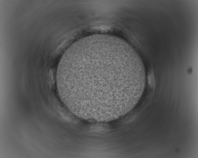 X0000116591347200912312027