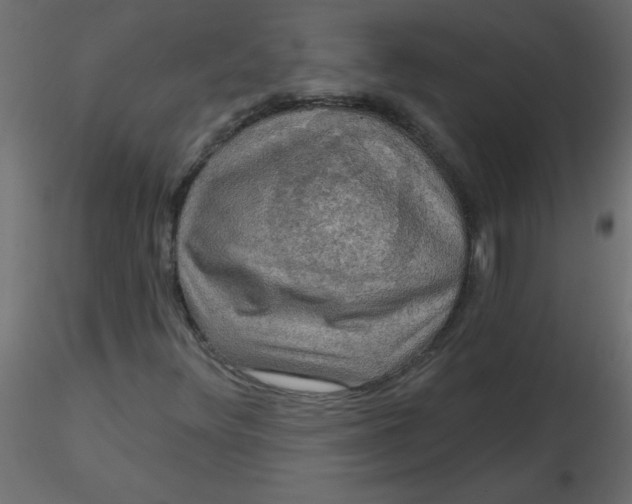 X0000116591348200912312027