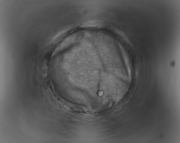 X0000116591350200912312027