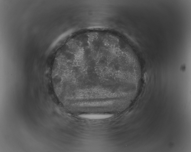 X0000116591351200912312027