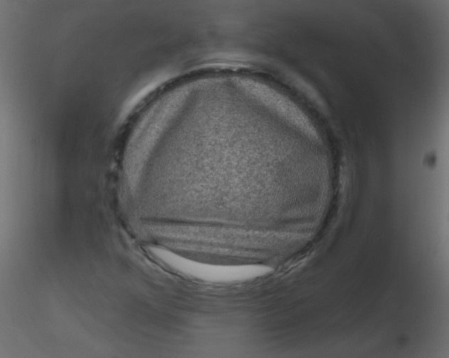 X0000116591352200912312027