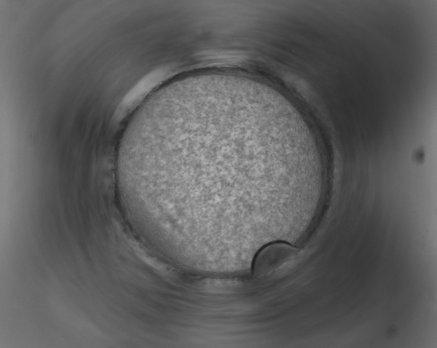 X0000116591354200912312027