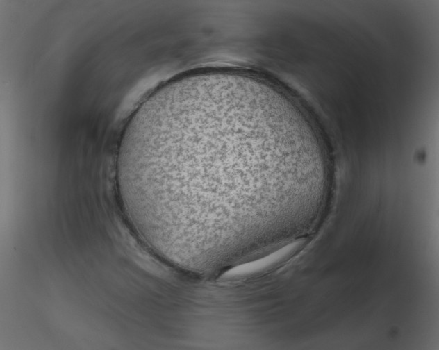 X0000116591355200912312027