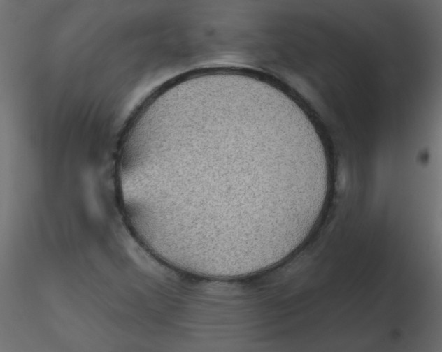 X0000116591356200912312027