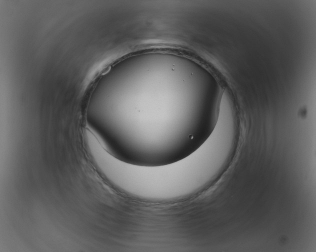 X0000116591357200912312027