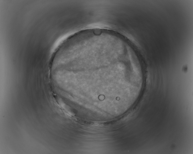 X0000116591358200912312027