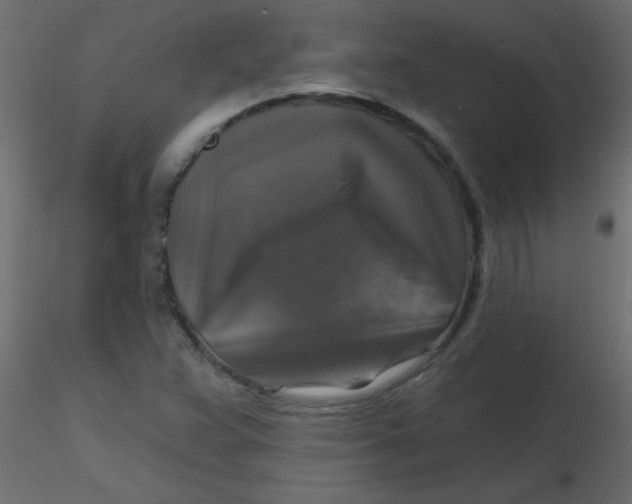 X0000116591359200912312027