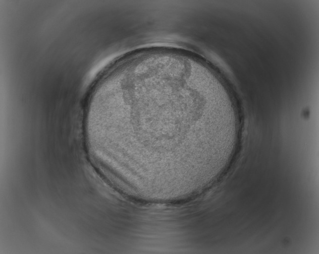 X0000116591360200912312027