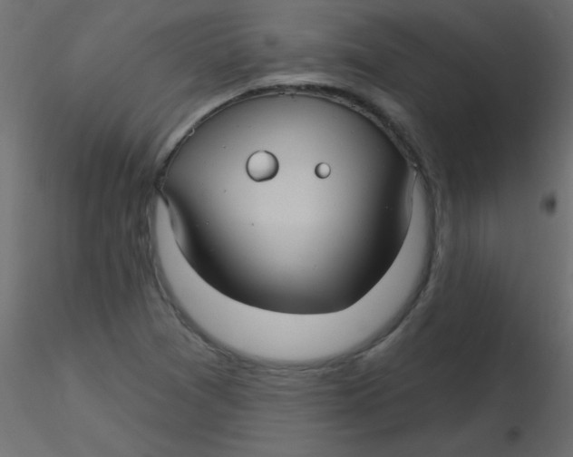 X0000116591361200912312027