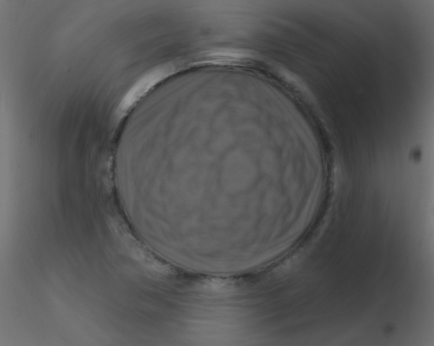 X0000116591362200912312027