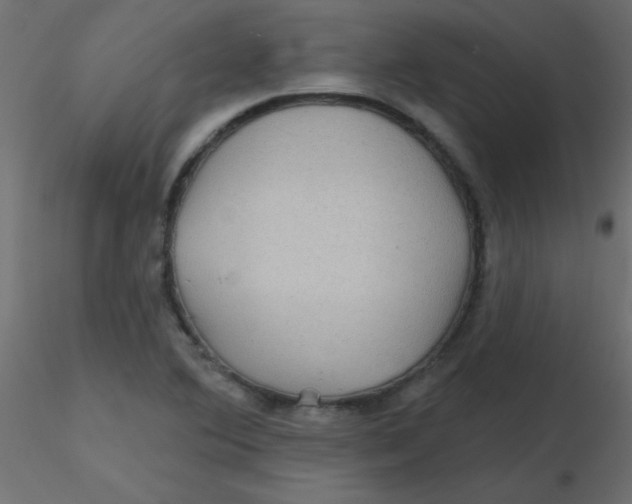 X0000116591364200912312027