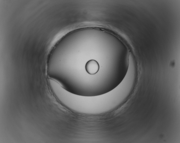 X0000116591365200912312027