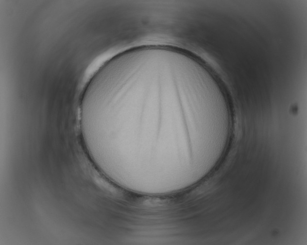 X0000116591366200912312027