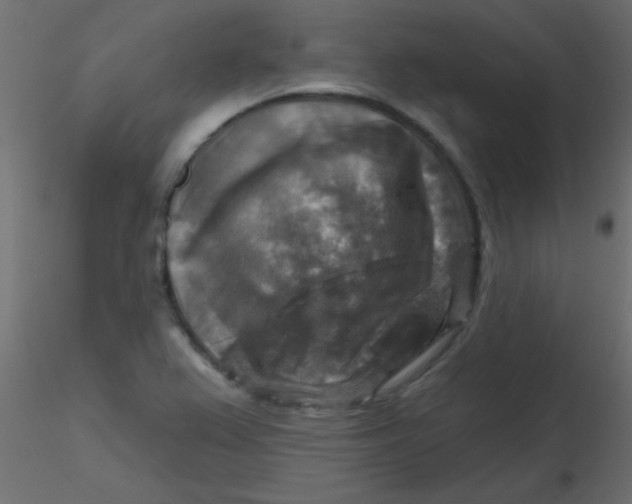 X0000116591367200912312027