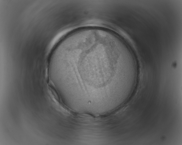 X0000116591368200912312027