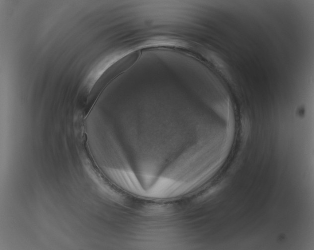 X0000116591369200912312027