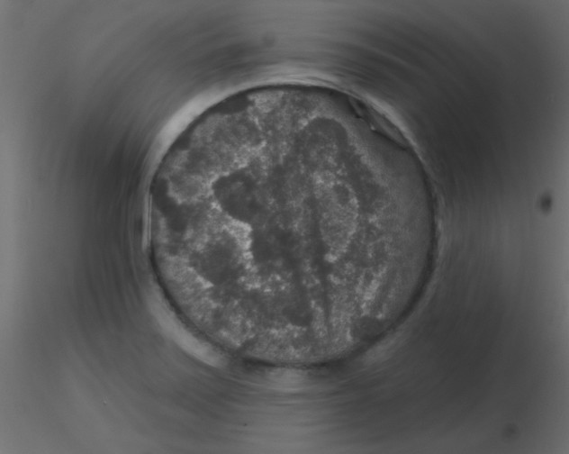 X0000116591371200912312027