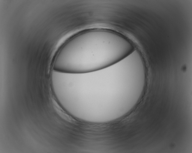 X0000116591372200912312027