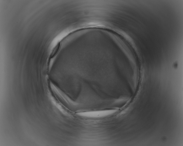 X0000116591373200912312027