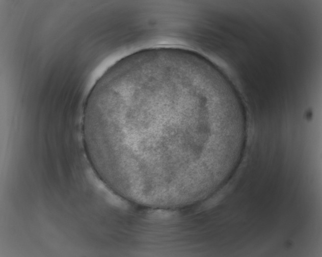 X0000116591374200912312027