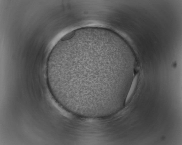 X0000116591375200912312027