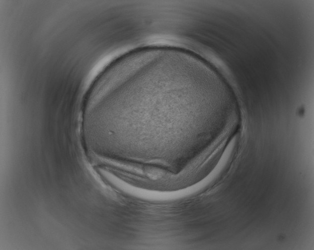 X0000116591376200912312027