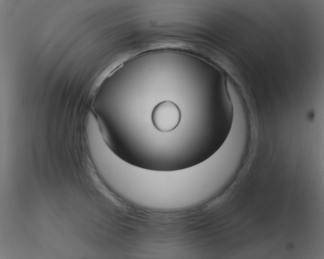 X0000116591377200912312027