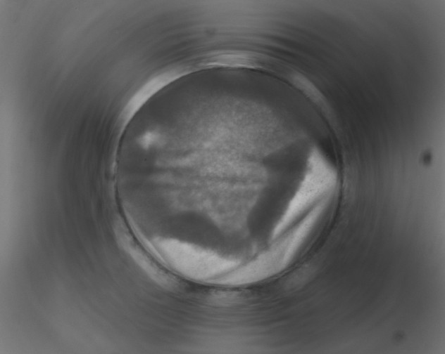 X0000116591378200912312027