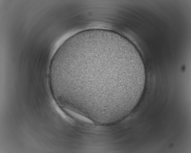 X0000116591379200912312027