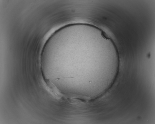 X0000116591380200912312027