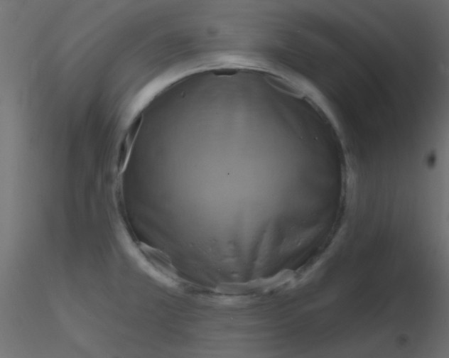 X0000116591381200912312027