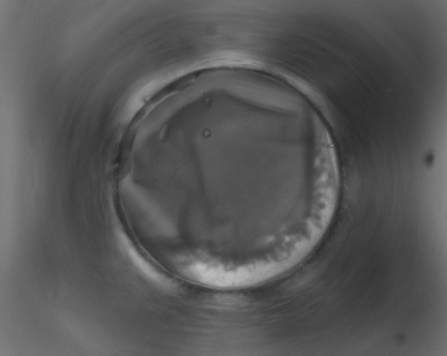 X0000116591383200912312027