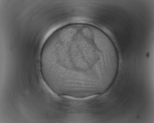 X0000116591384200912312027