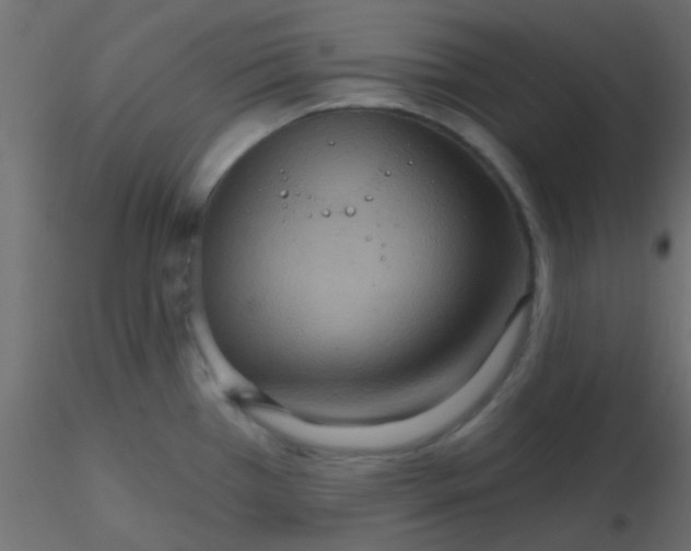 X0000116591385200912312027