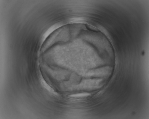 X0000116591386200912312027