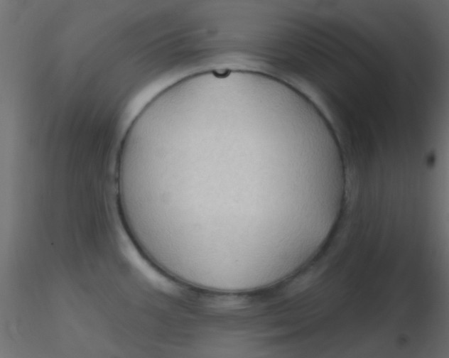 X0000116591387200912312027