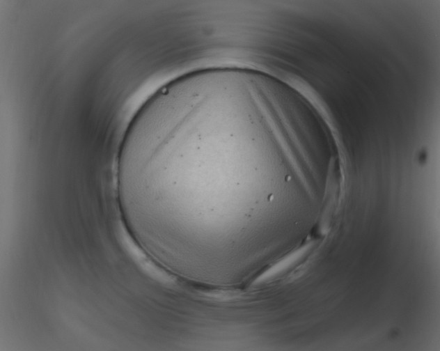 X0000116591388200912312027