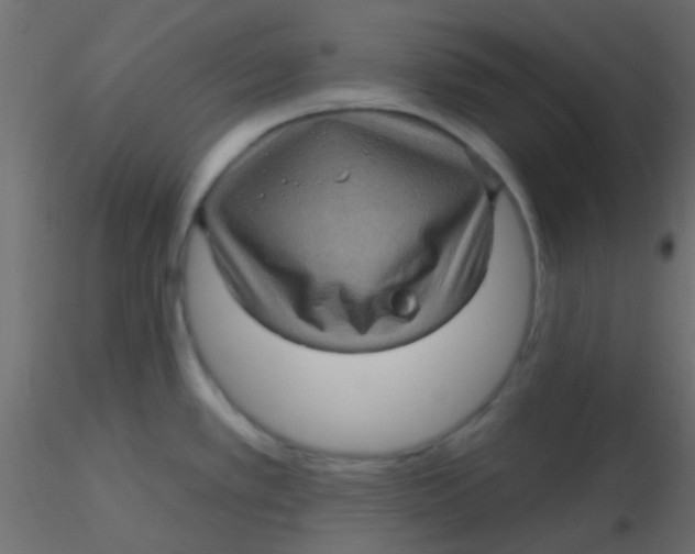 X0000116591389200912312027