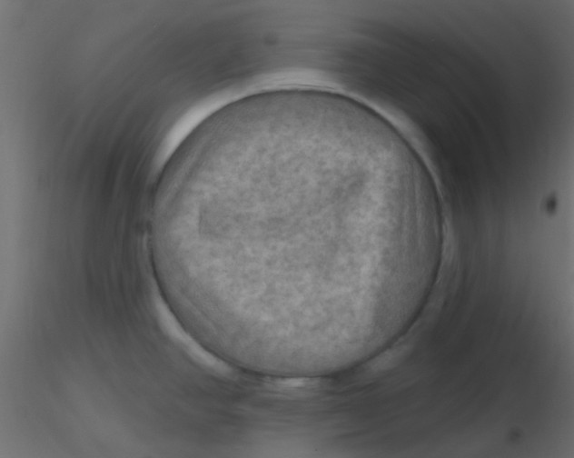 X0000116591390200912312027