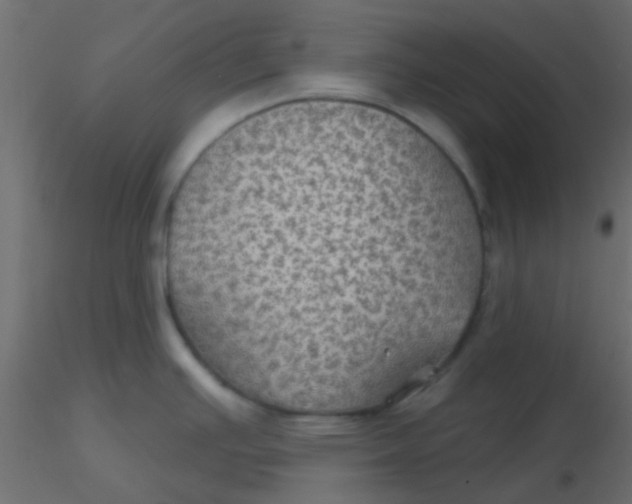 X0000116591391200912312027