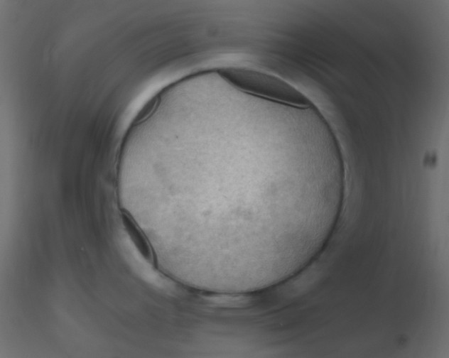 X0000116591392200912312027